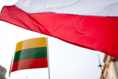 Lithuania and Poland, bypassing NATO, want to invade Ukraine
